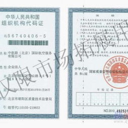 北京到全球 热门航线机票代理服务全解析